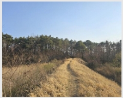  2025Ÿ51214  ʱ  긮 80      (Ӿ)