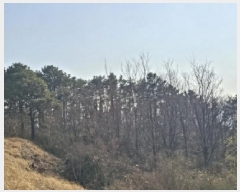  2025Ÿ51214  ʱ  긮 80      (Ӿ)