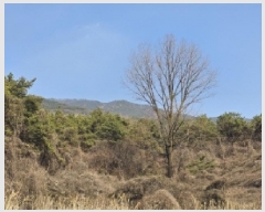  2025Ÿ51214  ʱ  긮 80      (Ӿ)