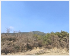  2025Ÿ51214  ʱ  긮 80      (Ӿ)