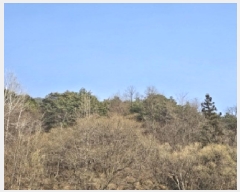  2025Ÿ51214  ʱ  긮 80      (Ӿ)