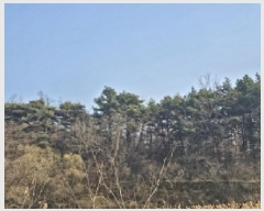  2025Ÿ51214  ʱ  긮 80      (Ӿ)