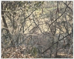  2025Ÿ51214  ʱ  긮 80      (Ӿ)