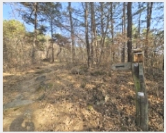  2025Ÿ51214  ʱ  긮 80      (Ӿ)