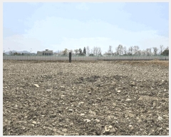  2025Ÿ51238  õ ǳ 324-4       ()