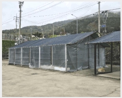  2025Ÿ51323   ﵿ 1240-2       ڽü,,ȣ,