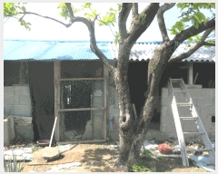  2025Ÿ��51341  ���ð��