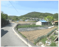  2025Ÿ��51341  ���ð��