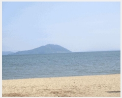  2025Ÿ51347  ﱺ  淮       ǰ