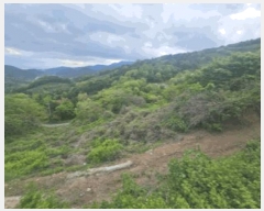  2025Ÿ51371   ȸõ õ 85-1      (Ӿ)