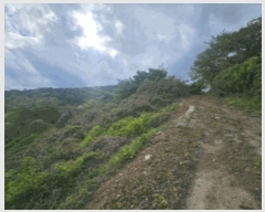  2025Ÿ51371   ȸõ õ 85-1      (Ӿ)