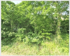  2025Ÿ��51425 ���� ������ ���� ��97       ����(�Ӿ�)���