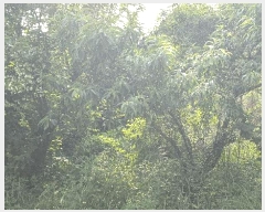  2025Ÿ��51425 ���� ������ ���� ��97       ����(�Ӿ�)���