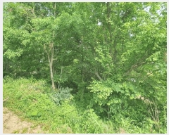  2025Ÿ��51425 ���� ������ ���� ��97       ����(�Ӿ�)���