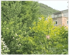  2025Ÿ��51425 ���� ������ ���� ��97       ����(�Ӿ�)���