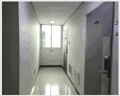  2025Ÿ51443   е 175-9 Ʈũ 1 6613ȣ    Ʈ