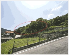  2025Ÿ51539  õ ͷ浿 120-28       (Ӿ)