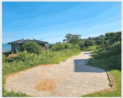  2025Ÿ51545   ȸõ  961      ð