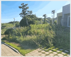  2025Ÿ51545   ȸõ  961      ð