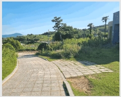  2025Ÿ51545   ȸõ  961      ð