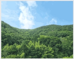  2025Ÿ��51594  �Ӿ߰��