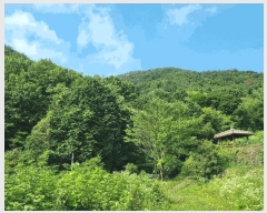  2025Ÿ��51594  �Ӿ߰��