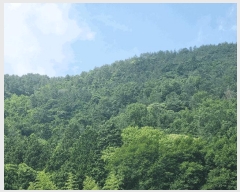  2025Ÿ��51594  �Ӿ߰��