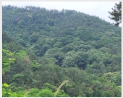  2025Ÿ��51594  �Ӿ߰��