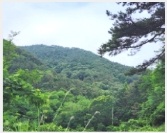  2025Ÿ��51594  �Ӿ߰��