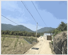  2025Ÿ��51641  ���ð��