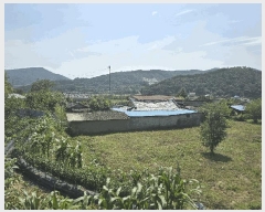  2025Ÿ��51641  ���ð��