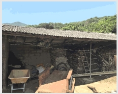  2025Ÿ��51641  ���ð��