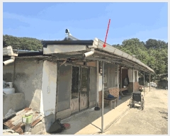  2025Ÿ��51641  ���ð��