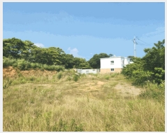  2025Ÿ51653  ﱺ  űݸ 589      (1)