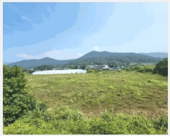  2025Ÿ51653  ﱺ  űݸ 589      (1)