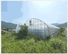  2025Ÿ51653  ﱺ  űݸ 589      (1)