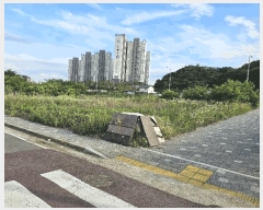  2025Ÿ51665    űݸ 1693      ()