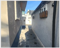  2025Ÿ51677  õ  100-5       ()