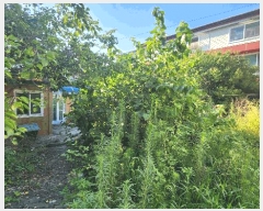  2025Ÿ51677  õ  100-5       ()