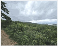  2025Ÿ��51713 ���� ���ﱺ �ݻ�� ������ ��149-1      ����(�Ӿ�)���