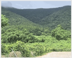  2025Ÿ��51713 ���� ���ﱺ �ݻ�� ������ ��149-1      ����(�Ӿ�)���