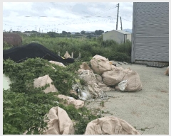  2025Ÿ��51713 ���� ���ﱺ �ݻ�� ������ ��149-1      ����(�Ӿ�)���