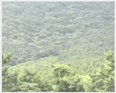  2025Ÿ��51713 ���� ���ﱺ �ݻ�� ������ ��149-1      ����(�Ӿ�)���