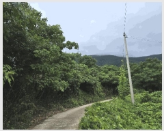  2025Ÿ��51713 ���� ���ﱺ �ݻ�� ������ ��149-1      ����(�Ӿ�)���