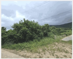  2025Ÿ��51713 ���� ���ﱺ �ݻ�� ������ ��149-1      ����(�Ӿ�)���