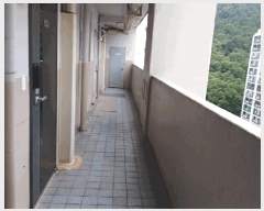  2025Ÿ51752  õ ʵ 766 ôƮ 106 171702ȣ    Ʈ