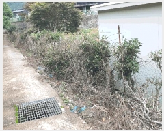  2025Ÿ��51771 ���� ��õ�� ��� 188       ����(��)���