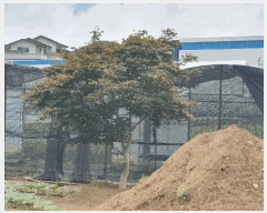  2025Ÿ��51771 ���� ��õ�� ��� 188       ����(��)���