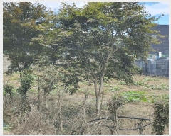  2025Ÿ��51771 ���� ��õ�� ��� 188       ����(��)���