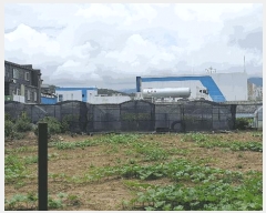  2025Ÿ��51771 ���� ��õ�� ��� 188       ����(��)���